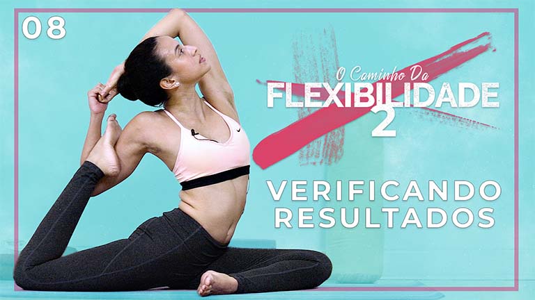 O Caminho Da Flexibilidade 2 - Dia 08: Verificando Resultados