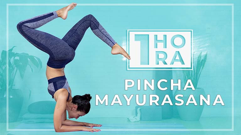 Encontrando o Pincha Mayurasana - Invertida No Antebraço