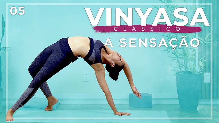 O Vinyasa Clássico - Dia 05: A Sensação